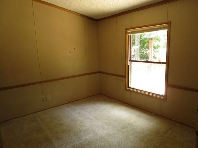 carpeted empty room with a textured ceiling