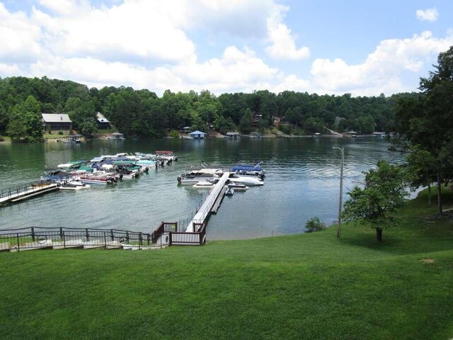 dock area featuring a water view and a lawn