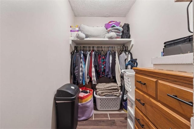 151 Grandma Branch Rd, Grantville, GA 30220 - spacious closet featuring wood finished floors