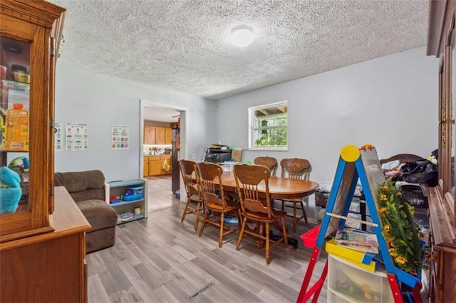 151 Grandma Branch Rd, Grantville, GA 30220 - dining space with light wood-style floors and a textured ceiling
