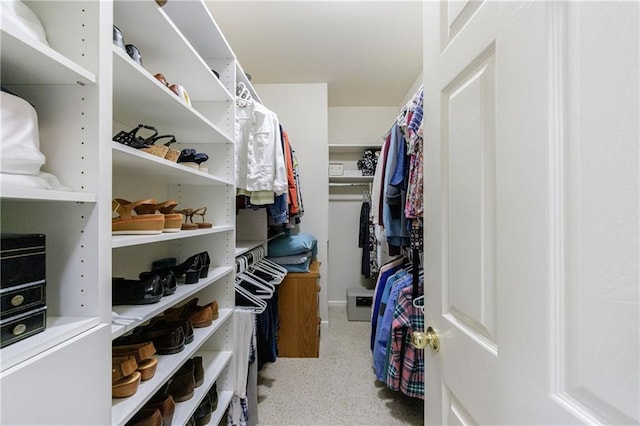 view of spacious closet