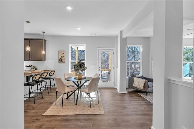 dining room with dark hardwood / wood-style flooring