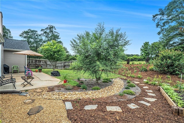 287 Jeremy Dr, Colbert, GA 30628 - view of yard featuring a patio area