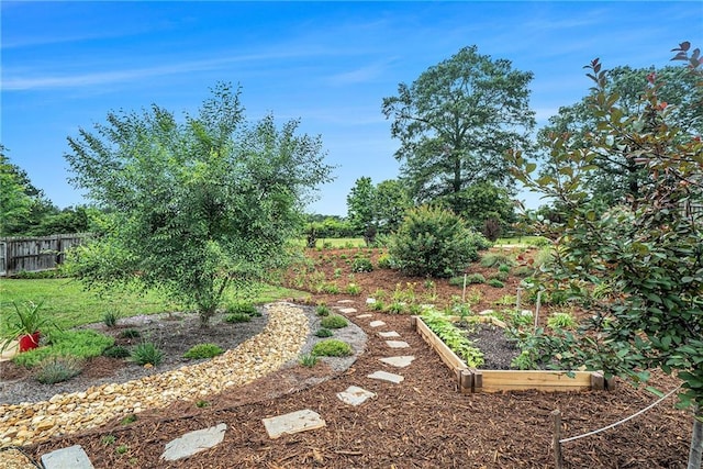 287 Jeremy Dr, Colbert, GA 30628 - view of yard featuring a vegetable garden