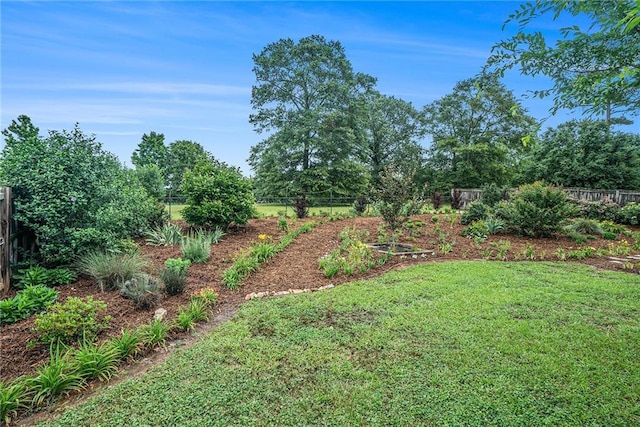287 Jeremy Dr, Colbert, GA 30628 - view of yard