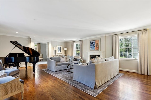 living room featuring crown molding and dark wood-type flooring