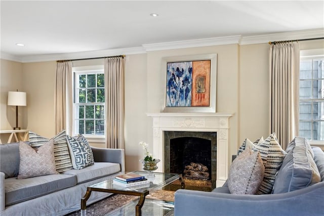 living room with crown molding and a premium fireplace