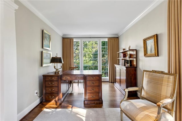 office area featuring dark hardwood / wood-style floors and ornamental molding