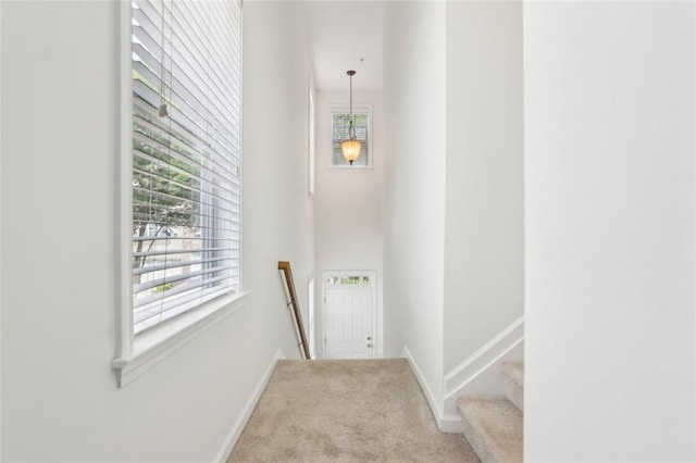 doorway with carpet floors and baseboards