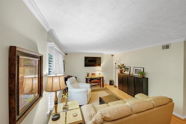 living room featuring crown molding and a textured ceiling