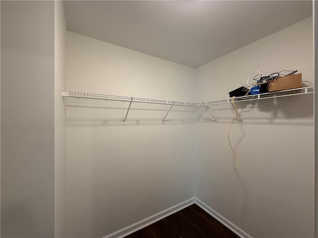 walk in closet with dark wood finished floors