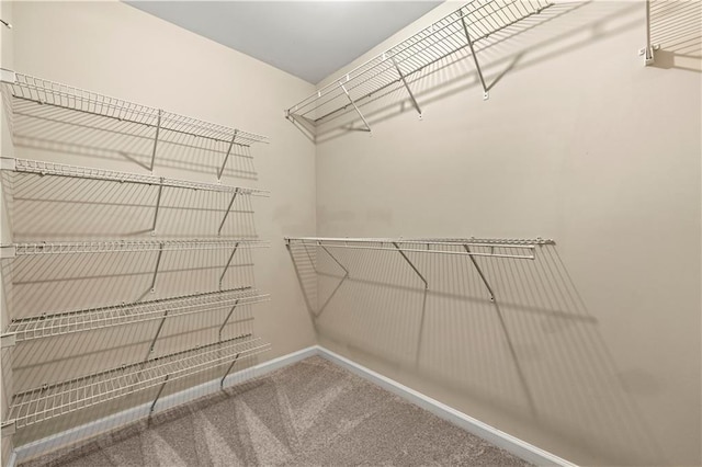 walk in closet featuring carpet floors