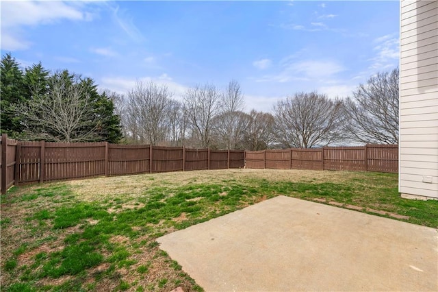 view of yard featuring a fenced backyard and a patio