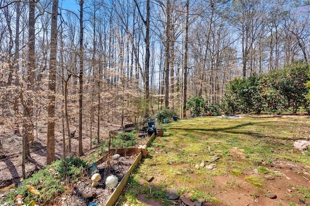 view of yard featuring a garden