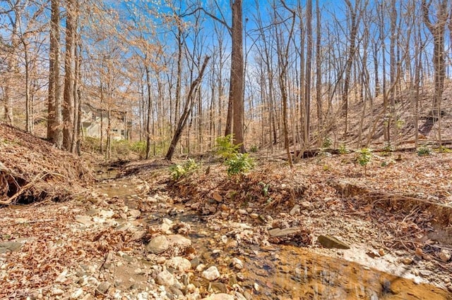 view of local wilderness with a wooded view