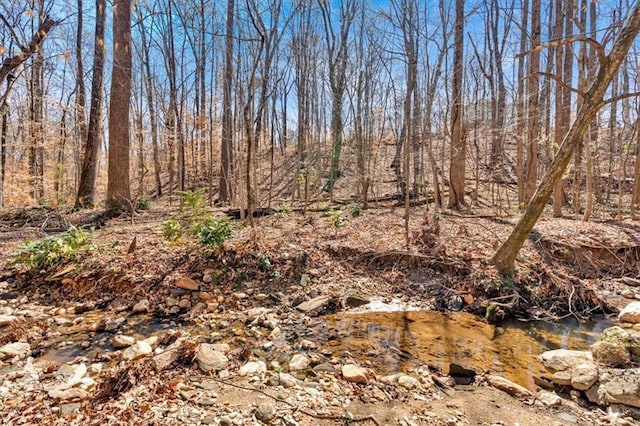 view of nature with a wooded view