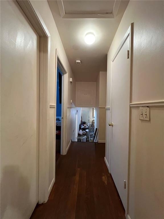 hallway featuring dark hardwood / wood-style flooring