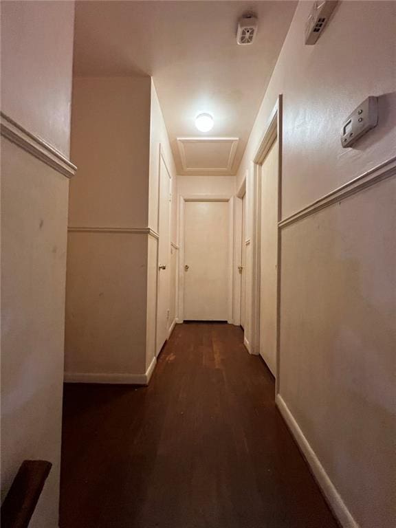 corridor with dark hardwood / wood-style floors