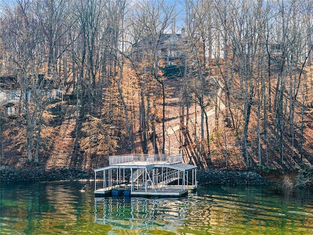 dock area featuring a water view