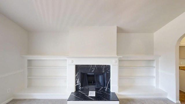 detailed view of arched walkways, a high end fireplace, baseboards, and carpet