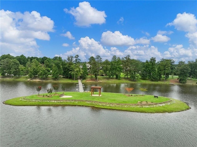 7712 Soaring Eagle Dr, Flowery Branch, GA 30542 - surrounding community featuring a water view and a yard