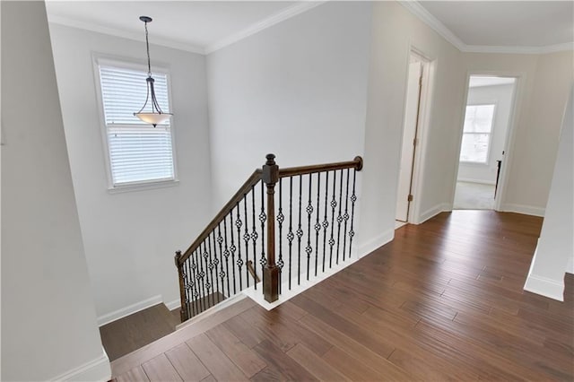 1803 Stone Bridge Way, Marietta, GA 30064 - hall featuring wood finished floors, baseboards, and ornamental molding