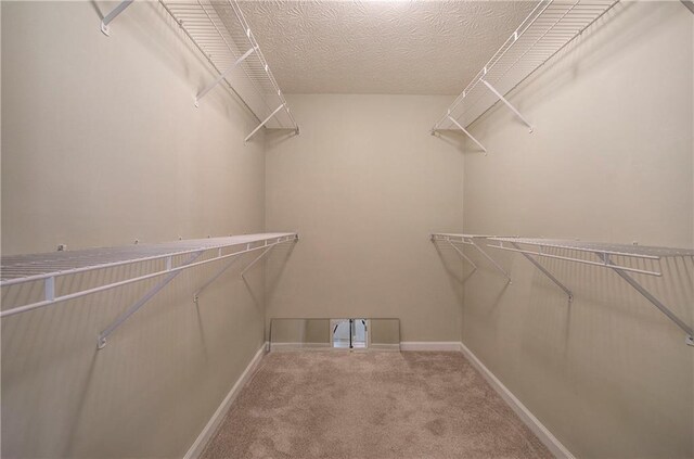 spacious closet with carpet