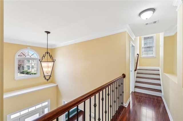 2143 Great Shoals Cir, Lawrenceville, GA 30045 - hall with dark wood-style flooring, visible vents, baseboards, stairway, and crown molding