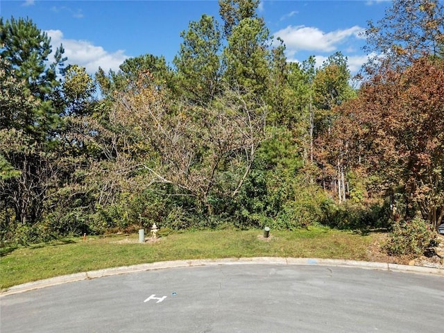 57 Lake Overlook Dr, White, GA 30184