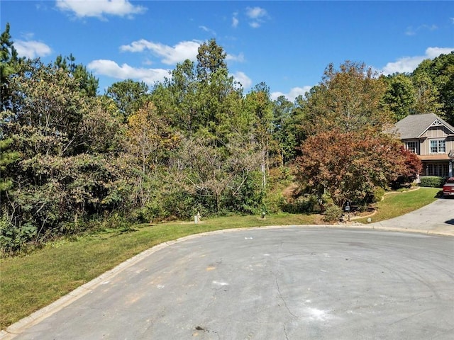 57 Lake Overlook Dr, White, GA 30184