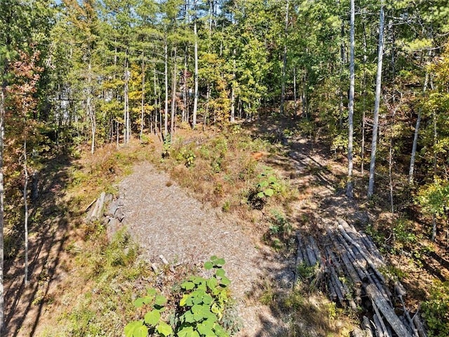 57 Lake Overlook Dr, White, GA 30184