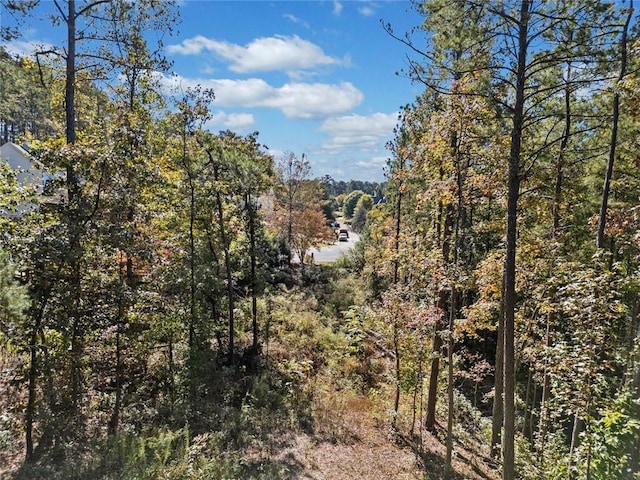 57 Lake Overlook Dr, White, GA 30184