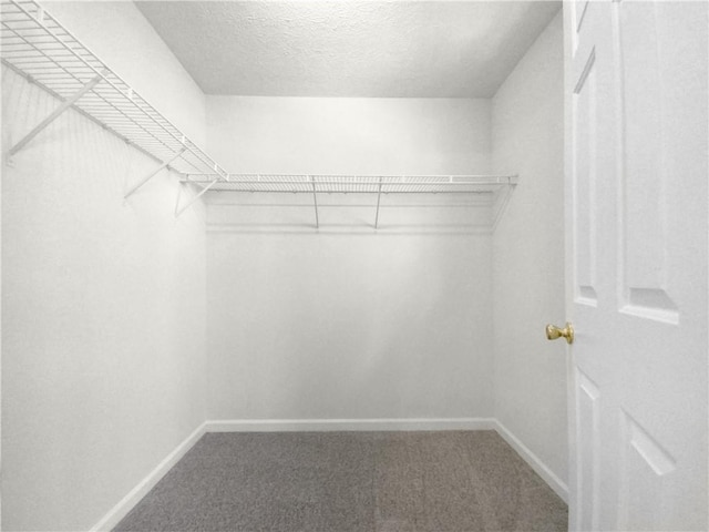 walk in closet featuring carpet