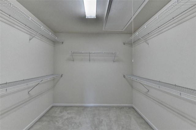 walk in closet with light carpet and attic access