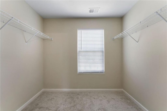 290 Middleton Ct, Chatsworth, GA 30705 - spacious closet with carpet floors