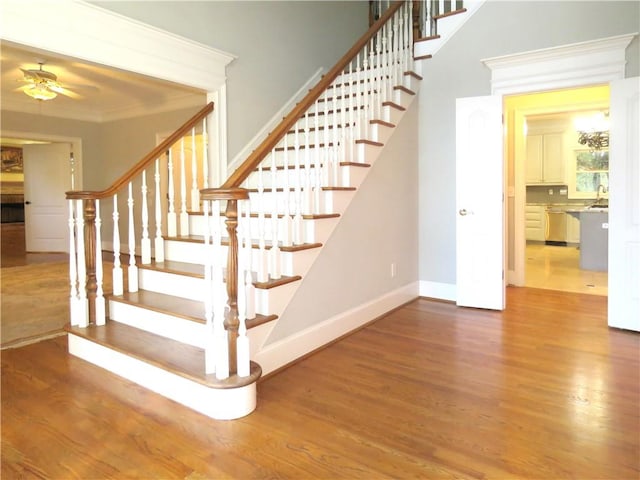 stairs with sink, crown molding, hardwood / wood-style flooring, and ceiling fan