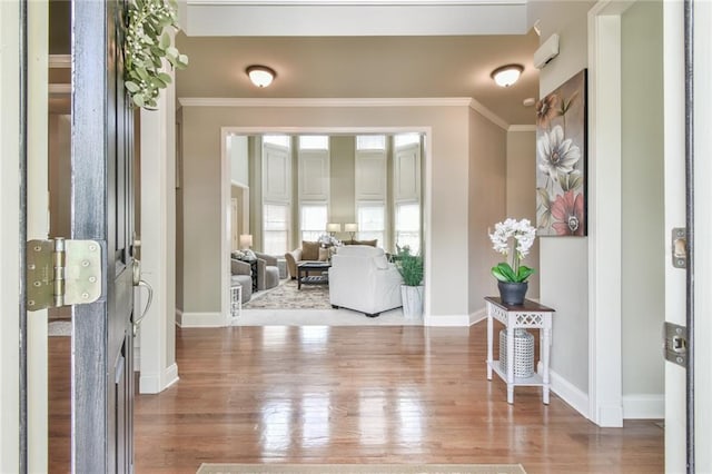 2727 Lost Mill Trce, Buford, GA 30519 - foyer with baseboards, wood finished floors, and ornamental molding