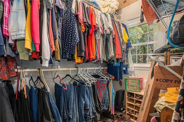 view of spacious closet