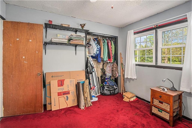 bedroom with carpet and a textured ceiling