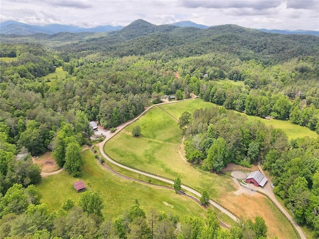 drone / aerial view featuring a mountain view