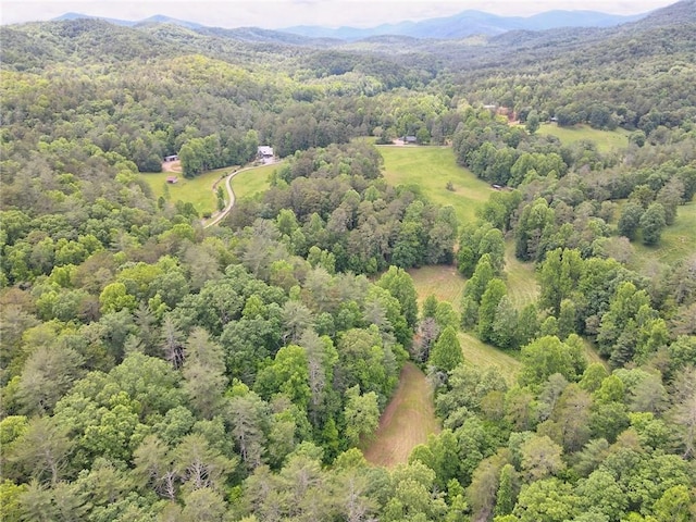 drone / aerial view featuring a mountain view