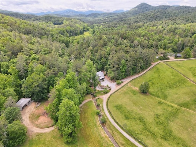 aerial view with a mountain view