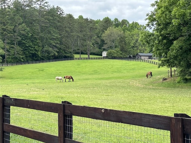 view of yard with a rural view