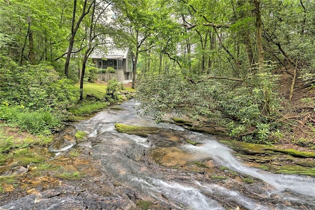 view of local wilderness