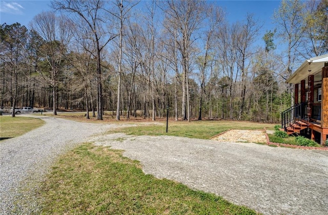 1240 H D Atha Rd, Monroe, GA 30655 - view of street with gravel driveway and a wooded view