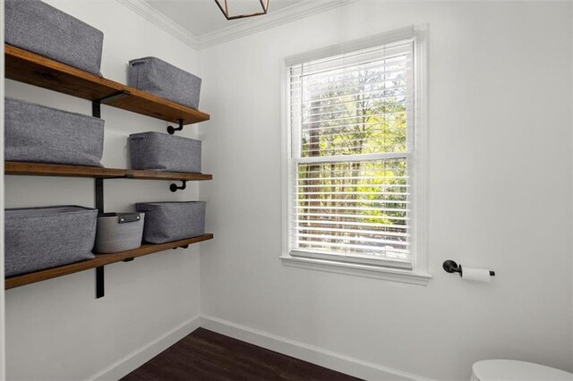 bedroom featuring light colored carpet, ceiling fan, crown molding, and a closet