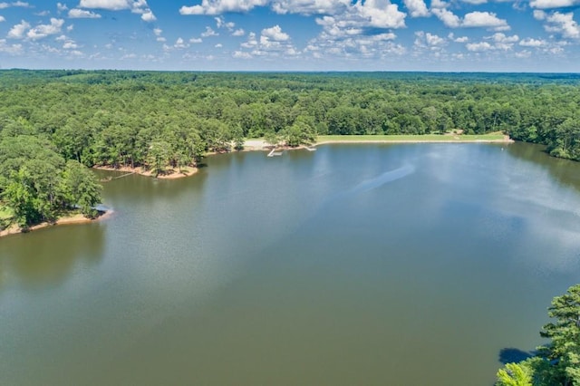 drone / aerial view with a water view and a wooded view