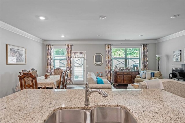 221 Irwell Path, Lawrenceville, GA 30044 - kitchen with open floor plan, healthy amount of natural light, light stone countertops, ornamental molding, and recessed lighting
