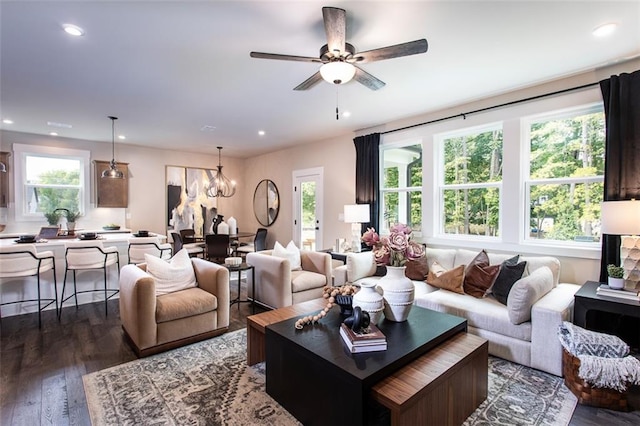 living room with ceiling fan with notable chandelier and dark hardwood / wood-style flooring