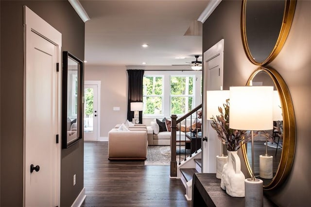 interior space featuring dark hardwood / wood-style floors